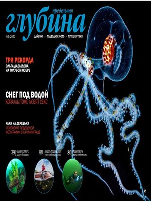 cover image of Предельная Глубина 